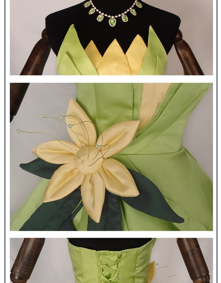 Princess Tiana Dress Cosplay C - Tech Accessories For Women recension och pris