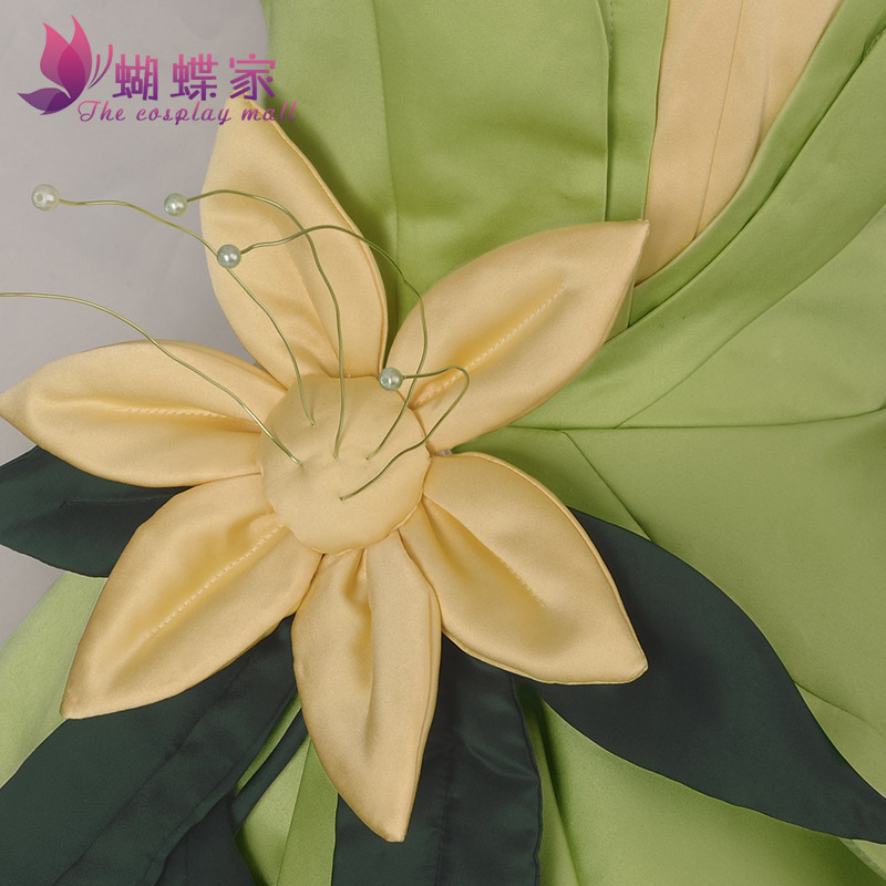 Princess Tiana Dress Cosplay C - Tech Accessories For Women recension och pris